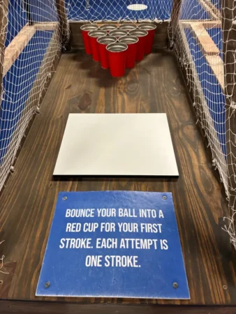 Hole-In-One Challenge: Putt Pong - Blue Course #17