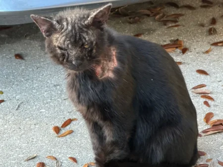 Spring Mini Golf League Brings Fun and Purpose Together