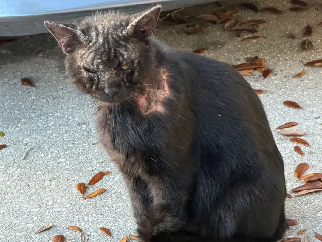 Spring Mini Golf League Brings Fun and Purpose Together